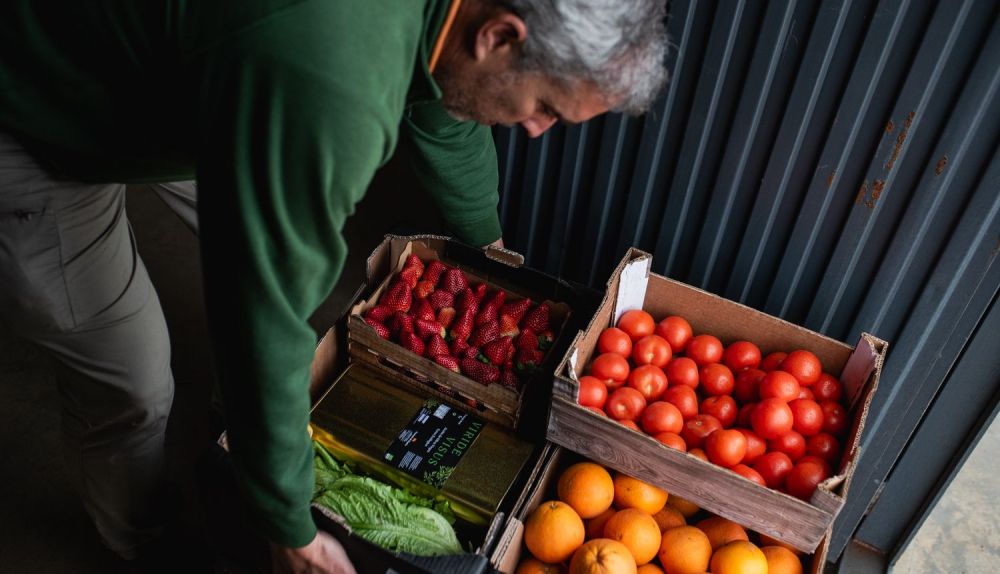 Hortalizas y frutas listas para ser repartidas.