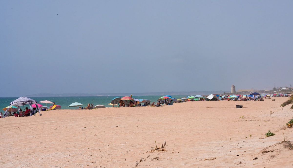 El palmar cortes de luz